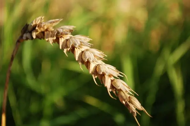 Delicious And Nutritious Slogan