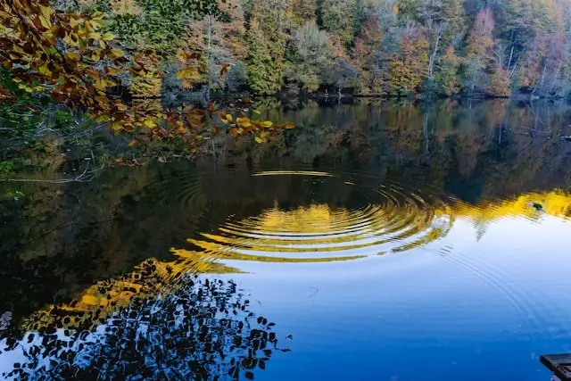 Environmental Conservation Slogans