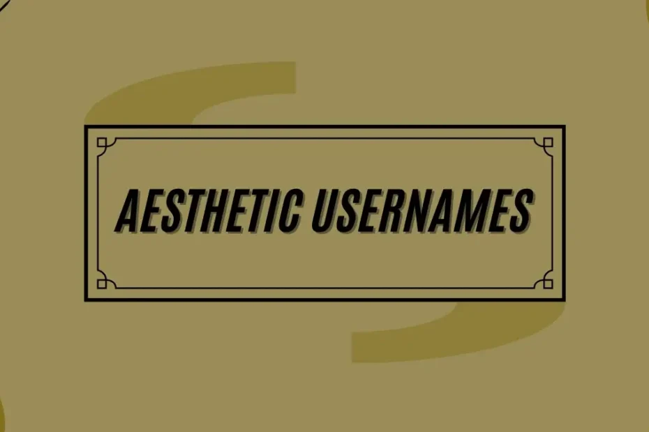 Aesthetic Usernames Ideas