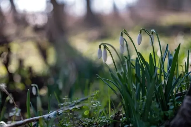 Short February Slogans