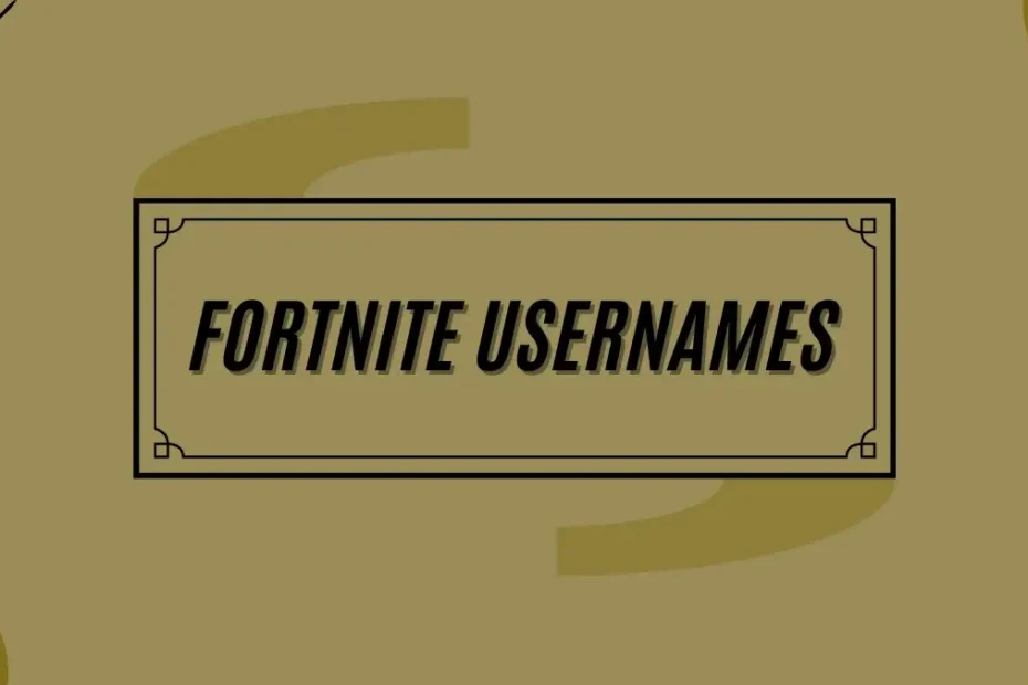 Fortnite Usernames Ideas