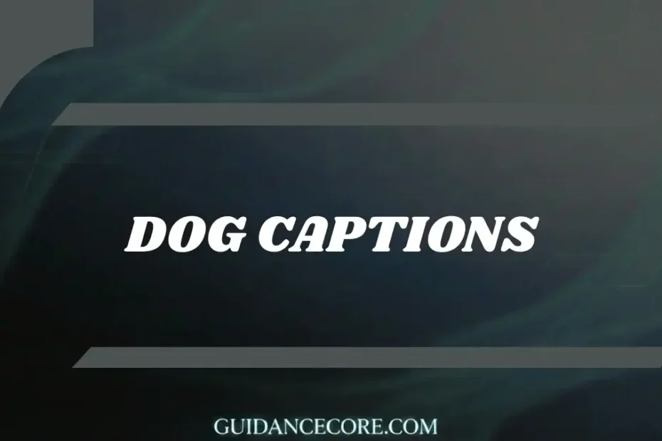 Captions for Dogs