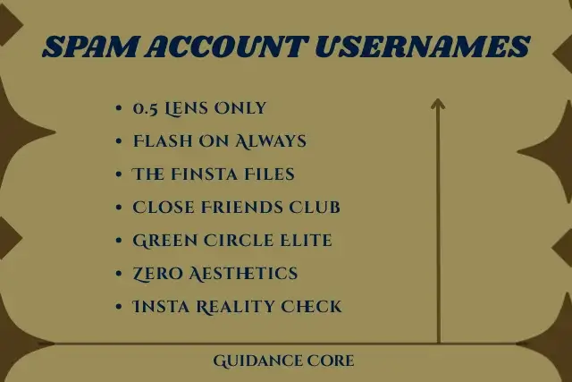 Instagram Spam Account Usernames