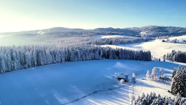 Funny Winter Captions