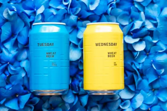 Wednesday Captions for Instagram