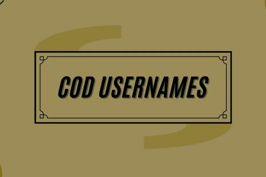 Funny Cod Usernames