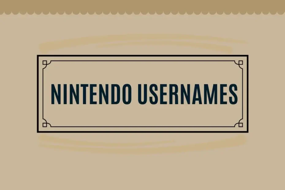 Nintendo Instagram Usernames