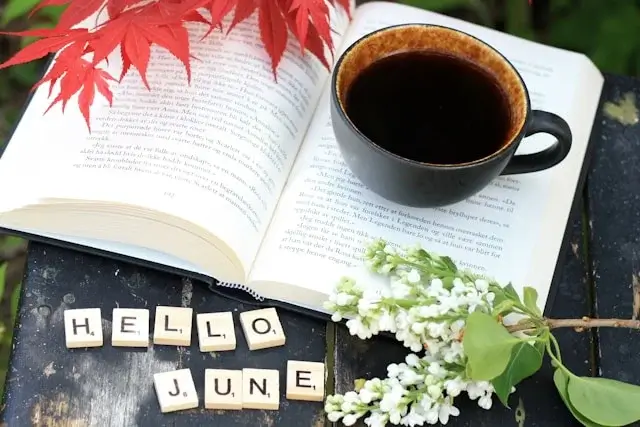 June Instagram Captions